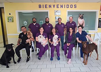 Brownsville Veterinary Clinics Brownsville Spay Neuter Clinic