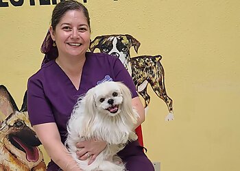 Brownsville Veterinary Clinics Brownsville Spay Neuter Clinic