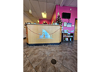 Elk Grove Veterinary Clinics Bruceville Pet Hospital