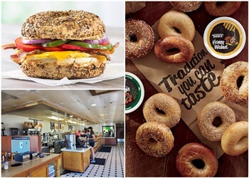 Nashville Bagel Shops Bruegger's Bagels Harding Road