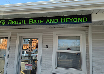 Brush, Bath and Beyond Pet grooming with love Salt Lake City Pet Grooming