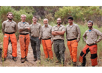 Oakland Lawn Care Services Brush Pros