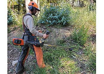 Oakland Lawn Care Services Brush Pros