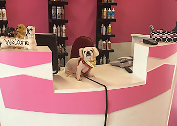 Pomona Pet Grooming Brush & Pupps Grooming