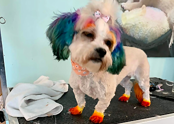 Hampton Pet Grooming Bubbles & Bark