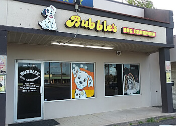 Bubbles Dog Grooming McAllen Pet Grooming