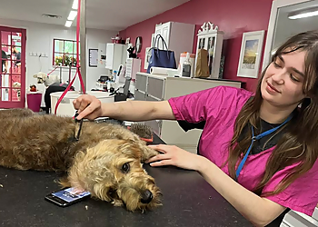 Dayton Pet Grooming Bubbles N Bows