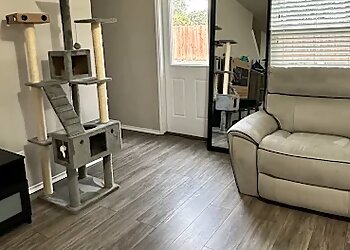 Lewisville House Cleaning Services Buckets & Bows Maid Service