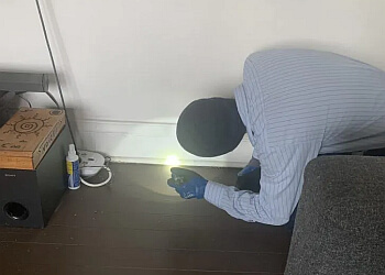 Pittsburgh Pest Control Companies Budget Pest Control Inc.