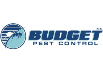 3 Best Pest Control Companies in Pittsburgh, PA - Expert  