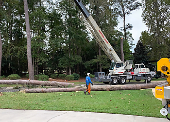 Port St Lucie Tree Services Budget Tree Service PSL