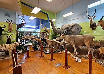 Bakersfield Places To See Buena Vista Museum of Natural History