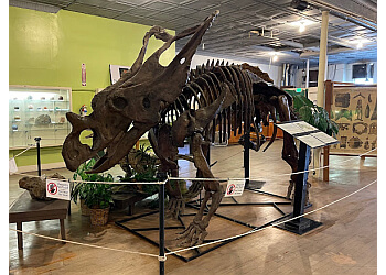 Bakersfield places to see Buena Vista Museum of Natural History
