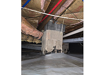 Buffalo Home Inspections Buffalo Girl Home Inspection