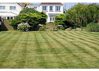 Buffalo Lawn Care Services Buffalo Lawn & Pest Services