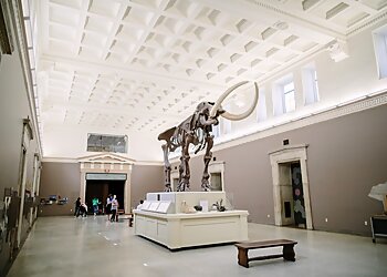 Buffalo Places To See Buffalo Museum of Science