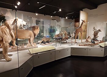 Buffalo Places To See Buffalo Museum of Science