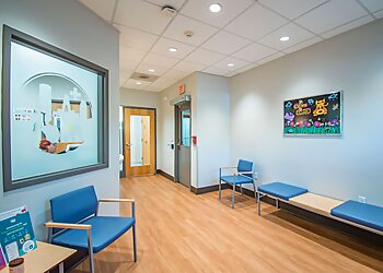 Buffalo Veterinary Clinics Buffalo Small Animal Hospital