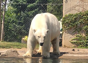 Buffalo Places To See Buffalo Zoo