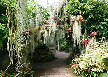 Buffalo Places To See Buffalo and Erie County Botanical Gardens