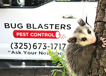 Abilene Pest Control Companies Bug Blasters Pest Control
