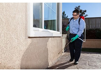 3 Best Pest Control Companies in Newark, NJ - Expert  