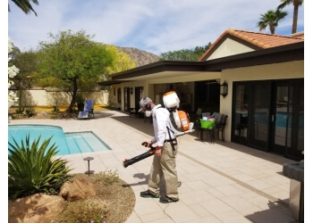 Tempe Pest Control Companies Bug Guardian Pest Prevention