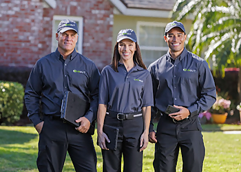 Amarillo Animal Removal Bug Out