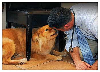 Stamford Veterinary Clinics Bull’s Head Pet Hospital