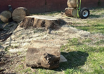 Montgomery Tree Services Bullseye Tree Service