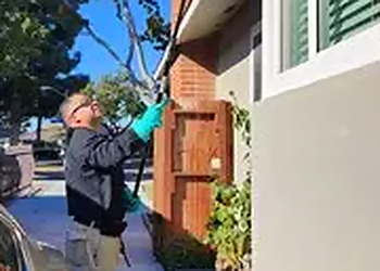 Fullerton Pest Control Companies Bully Pest Control