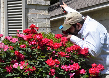 Mesa Pest Control Companies Bulwark Exterminating