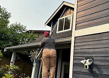 Tacoma Pest Control Companies Bulwark Exterminating Tacoma