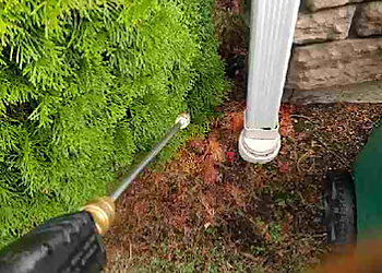 Tacoma Pest Control Companies Bulwark Exterminating Tacoma