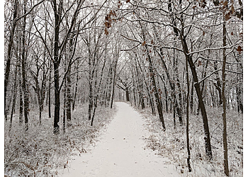 Elgin Hiking Trails Burnidge Forest Preserve