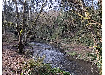 Vancouver Hiking Trails Burnt Bridge Creek Trail