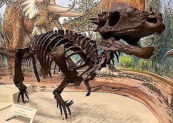 Rockford Landmarks Burpee Museum of Natural History