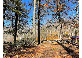 Waterbury Hiking Trails Burr Pond State Park
