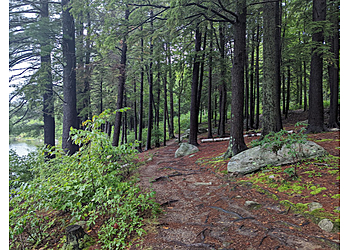 Waterbury Hiking Trails Burr Pond State Park