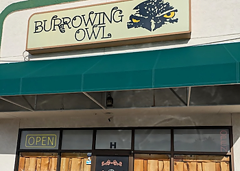 Colorado Springs Vegetarian Restaurants Burrowing Owl