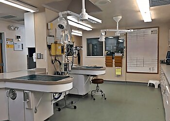 Eugene Veterinary Clinics Bush Animal Hospital