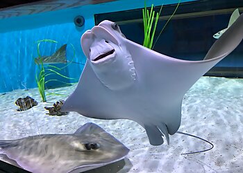 Sioux Falls Places To See Butterfly House & Aquarium