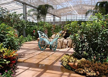 Scottsdale Places To See Butterfly Wonderland