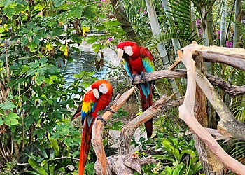 Coral Springs Places To See Butterfly World