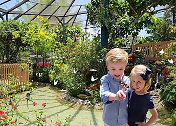 Coral Springs Places To See Butterfly World