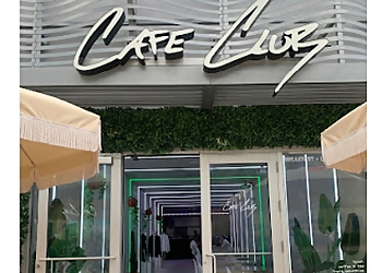 Hollywood Cafe CAFE CLUB