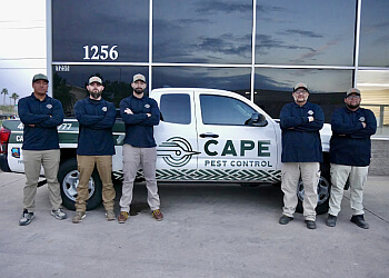 Scottsdale Pest Control Companies CAPE Pest Control Scottsdale