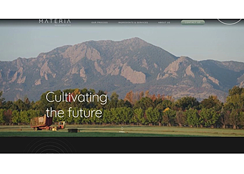 Ontario Web Designers CCS Interactive