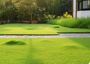 CG Tree & Landscape Inc. - Torrance, CA Lawn Care Services - Project Image