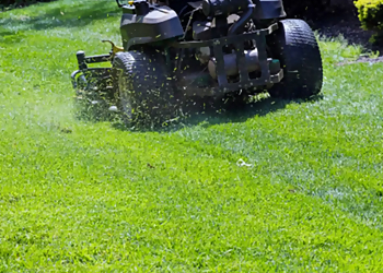 CG Tree & Landscape Inc. - Torrance, CA Lawn Care Services - Job Site Image